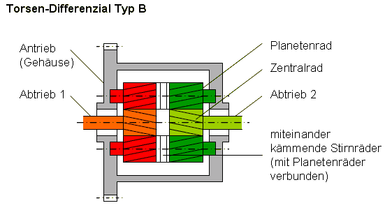 Schemazeichnung eines Torsen-Differenzials vom Typ B